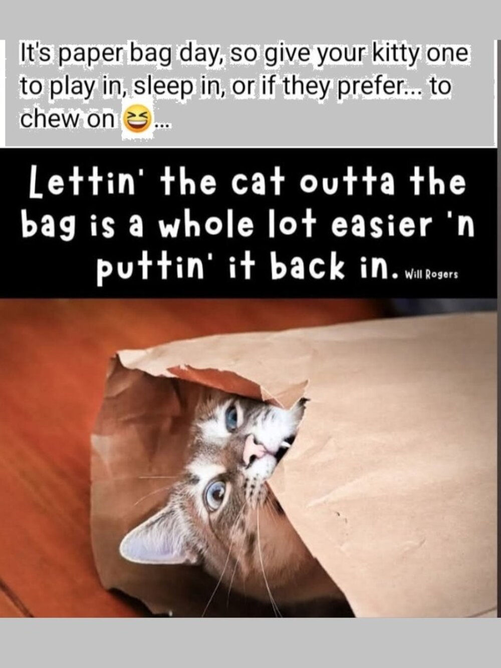 BEST IN BAGS - closet bookmark - follow game